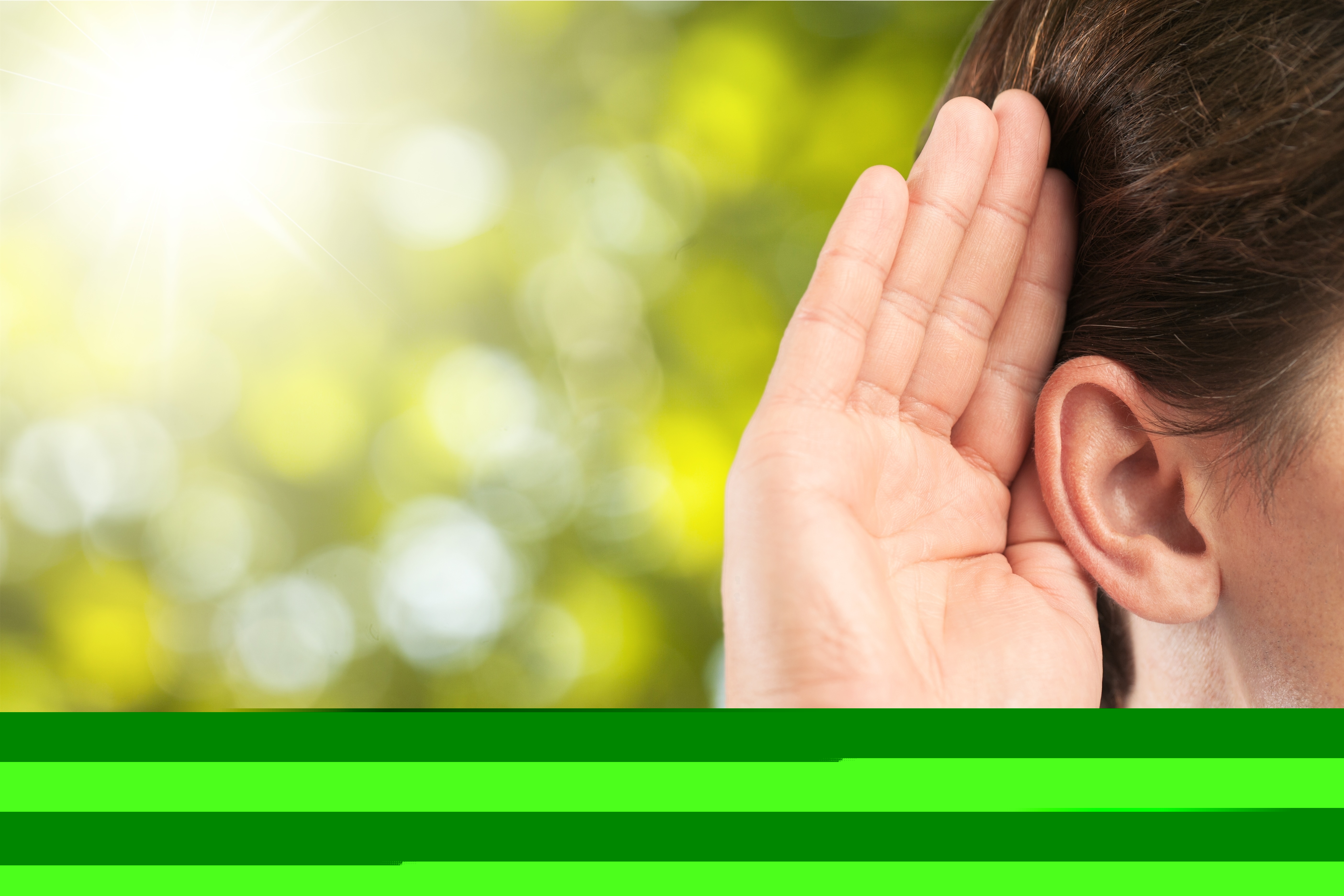 ear