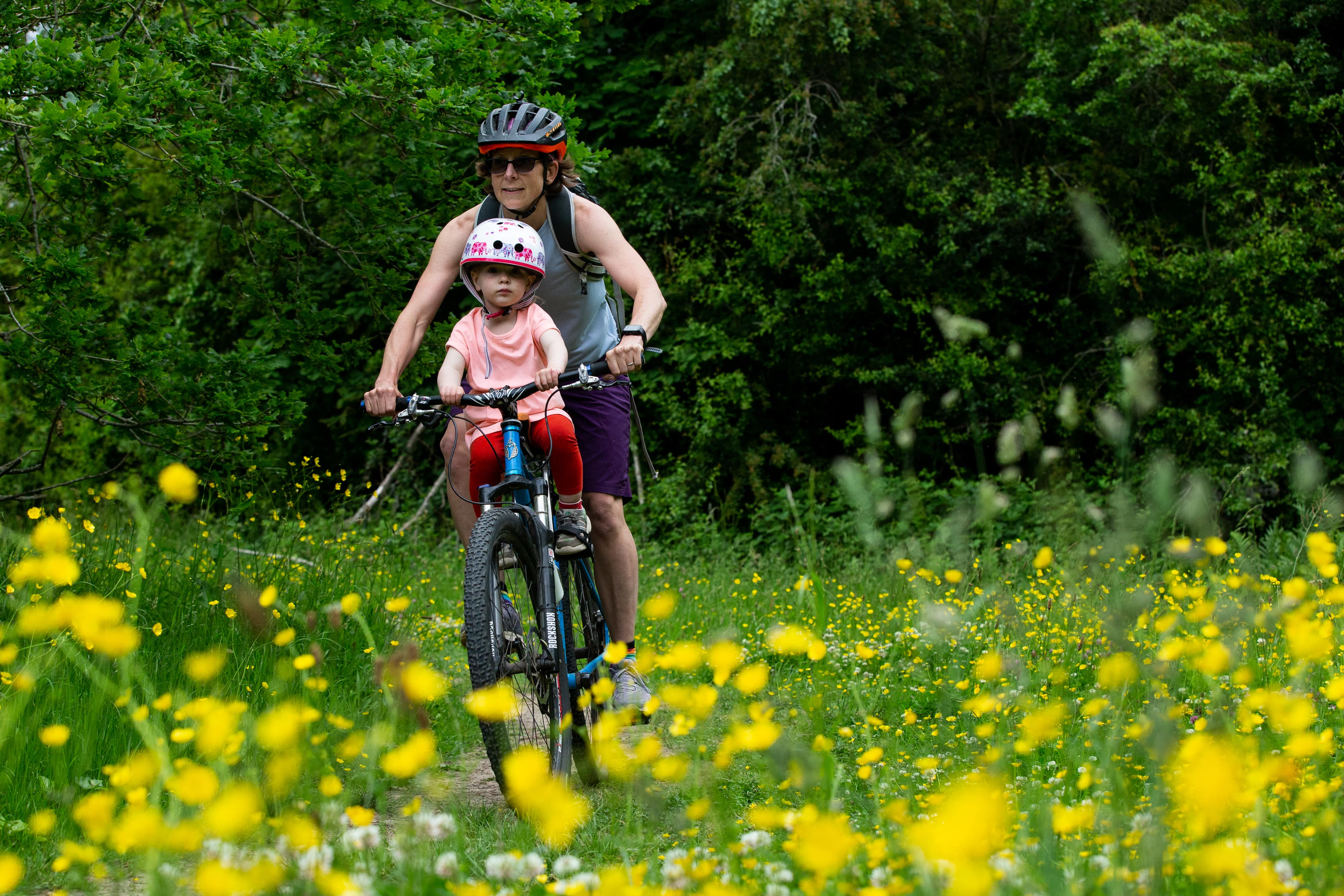 Parent and child on bicycle in green countryside