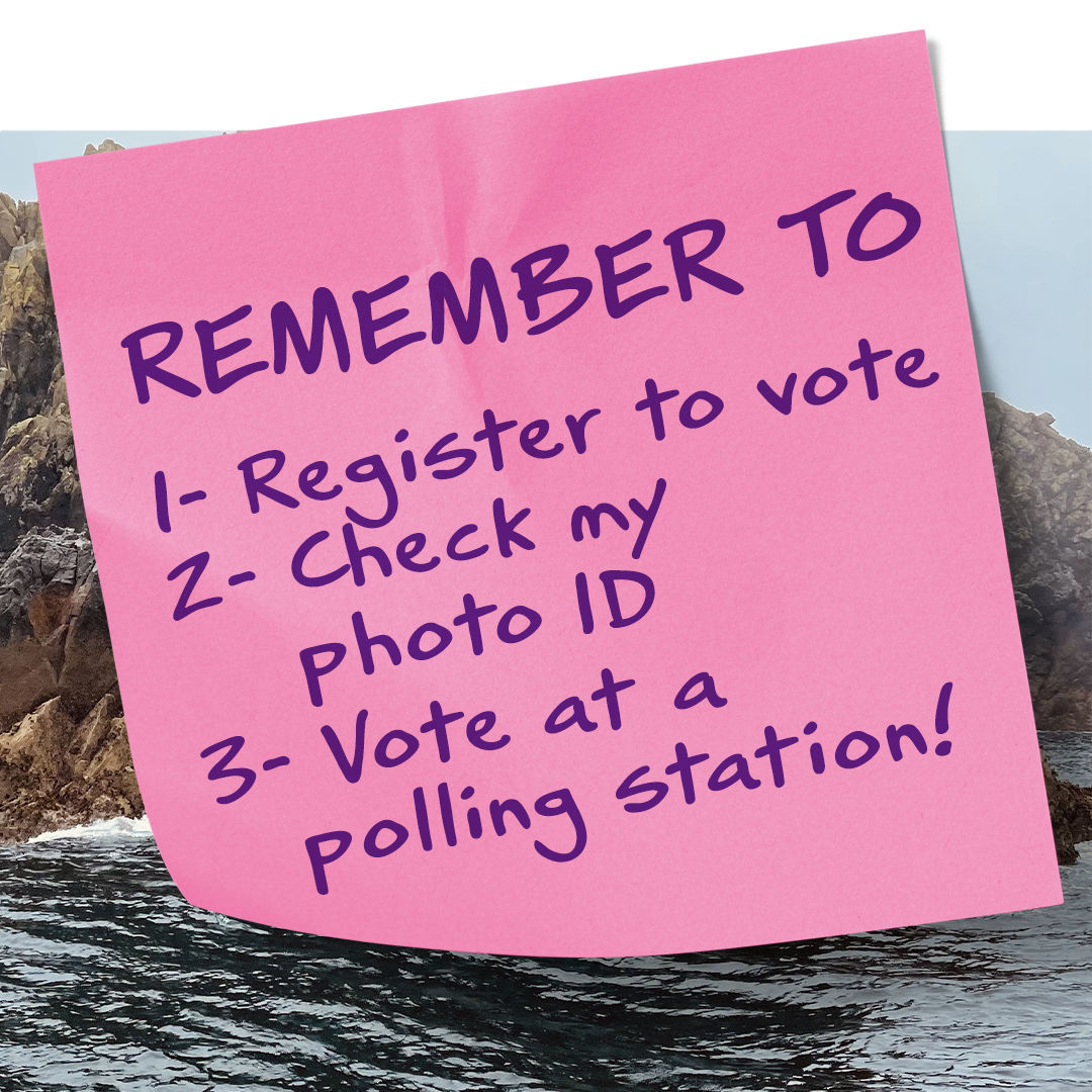 In the form of a post-it note: Remember to register to vote. Check my photo ID. Vote at a polling station!