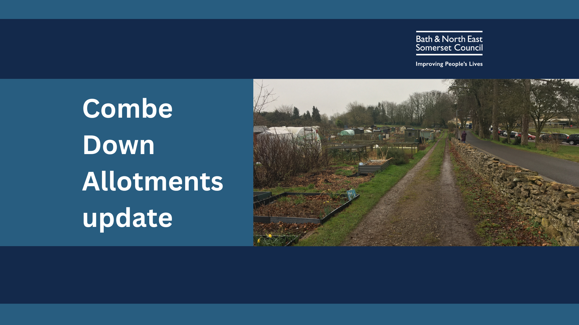 the images shows a stretch of the allotments running alongside a stone wall near a road  