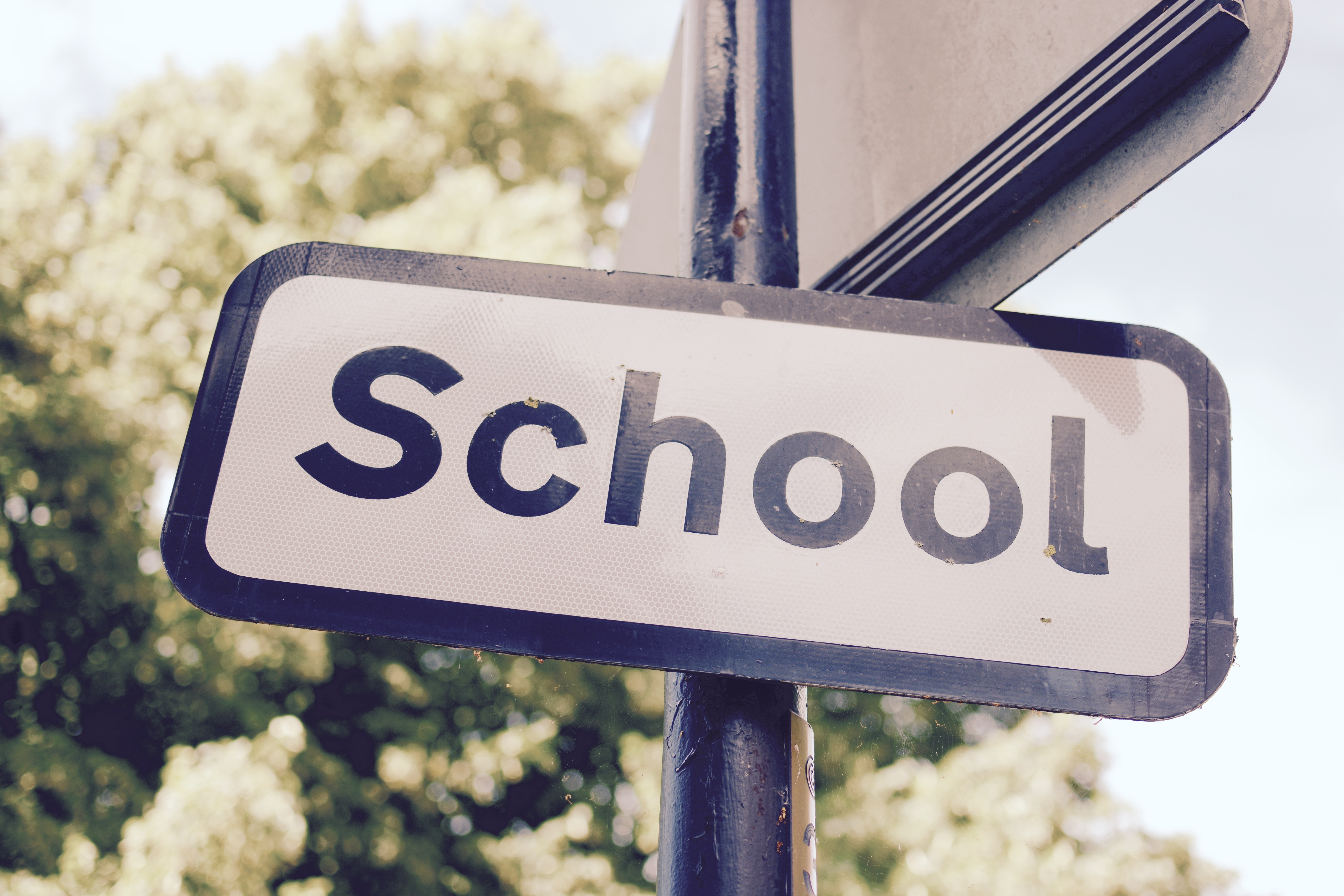 Image of sign reading 'School' on a lamp post with a blurred image of a tree behind it.
