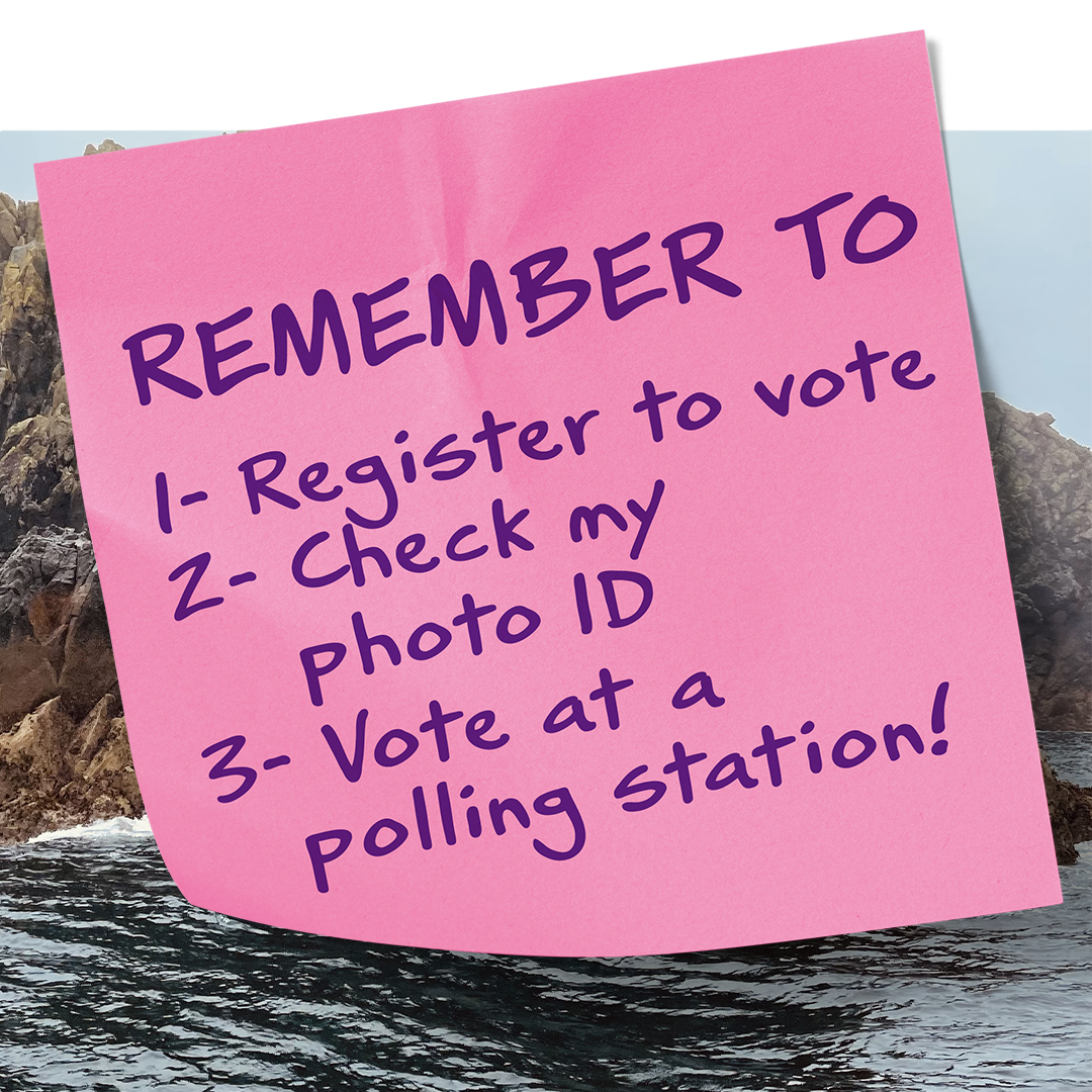 Register to vote.