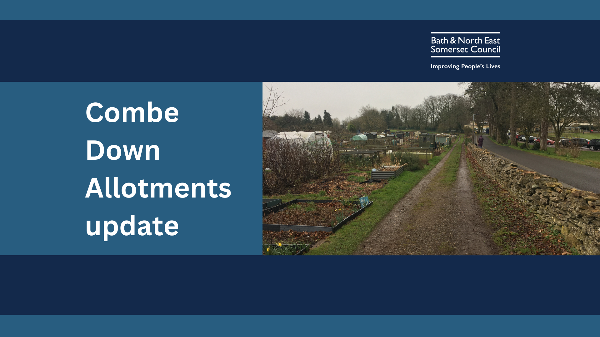 photo shows the allotments with sheds and polytunnels alongside a stone wall and lane 