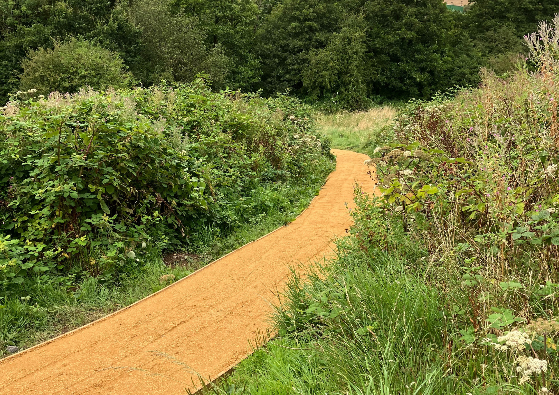 photo showing a new sandy path winding through borders of wild planting