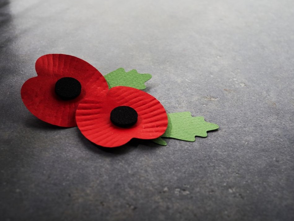 Two poppies on a grey surface