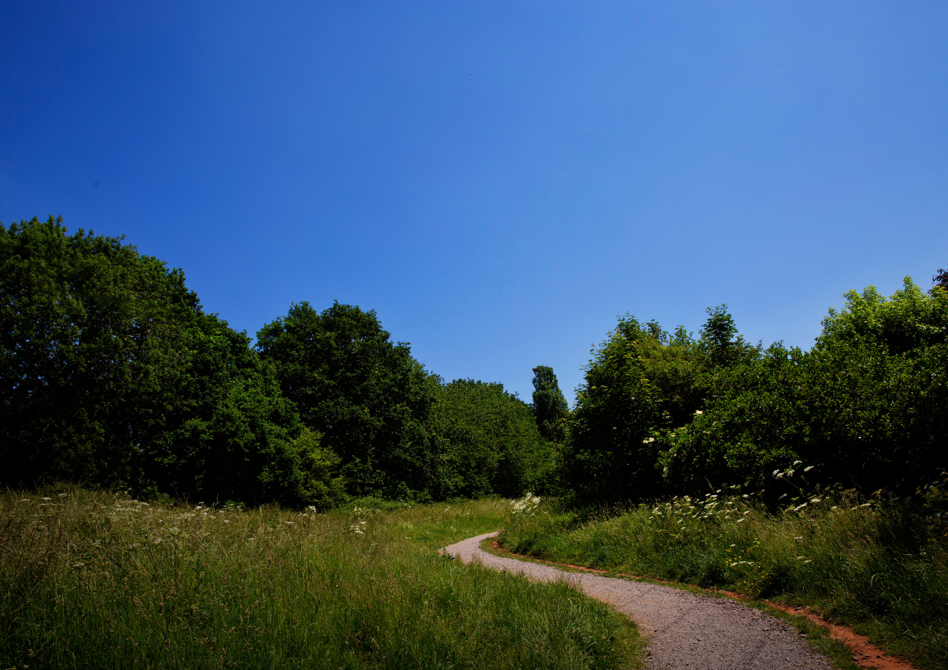 a photo of a gravel path winding through a field towards trees with a very blue sky