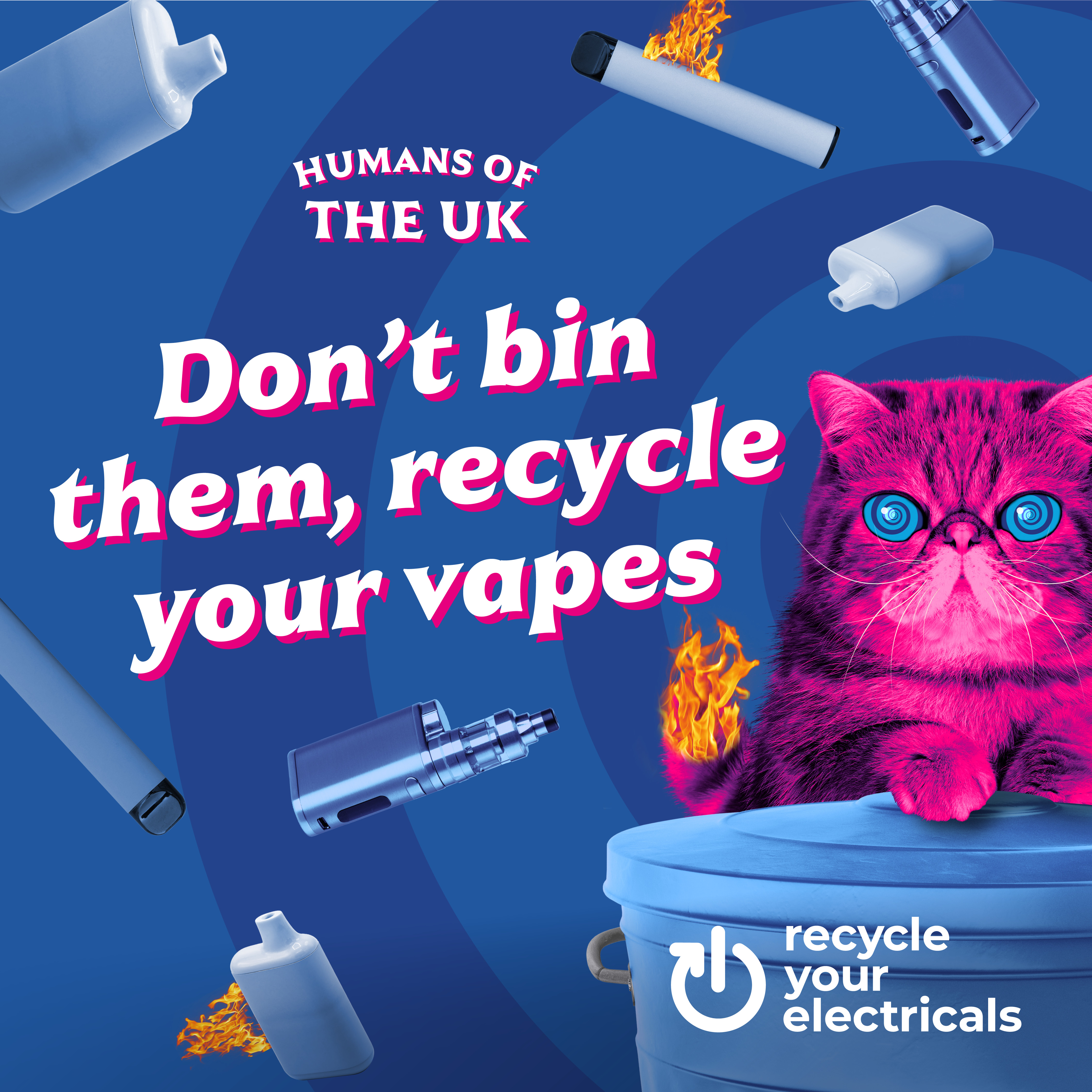 Cartoon of a cat with message: don't bin them, recycle your vapes