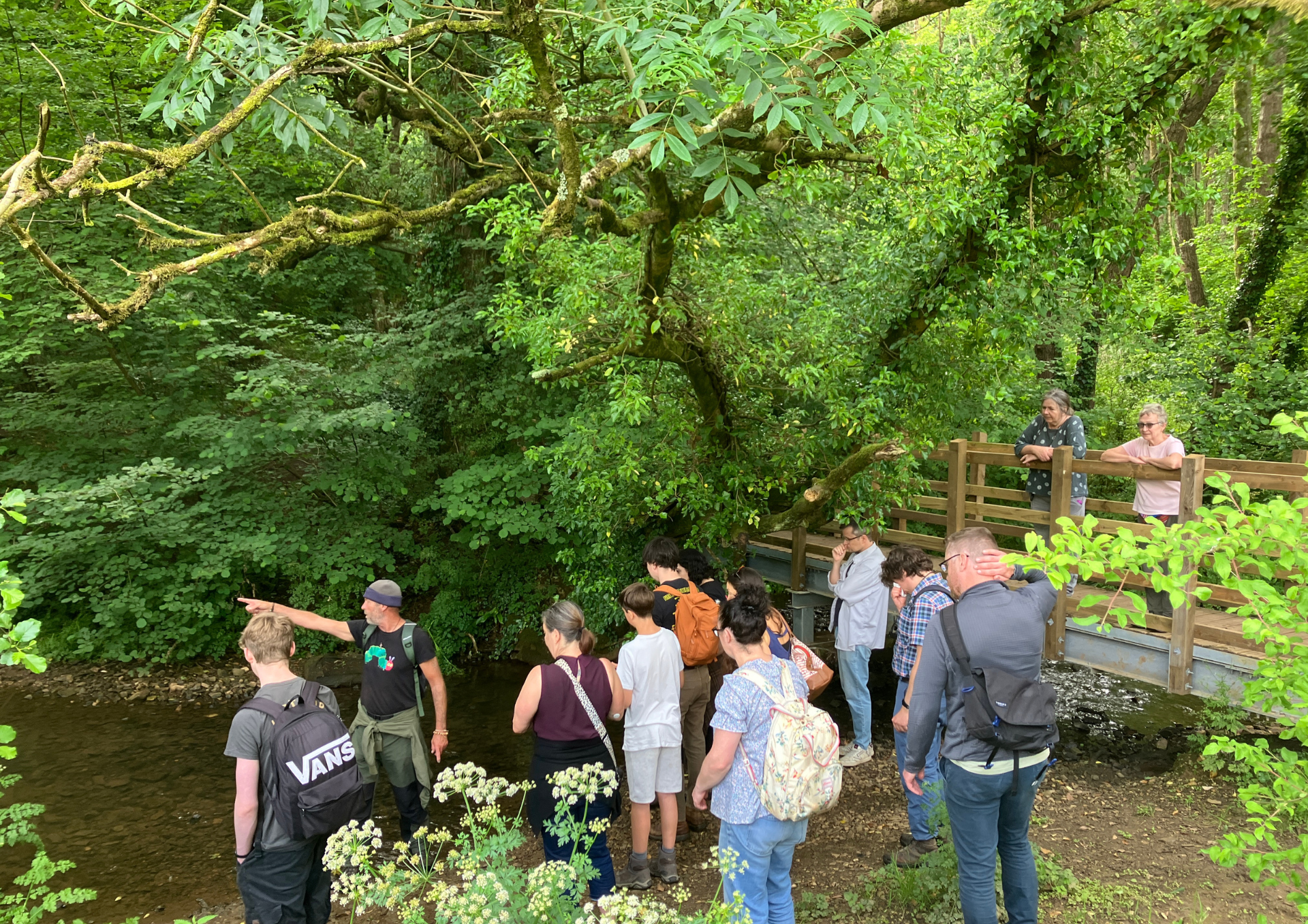 a photo of a group of walkers standing next to a stream and trees. The leaders is pointing at something