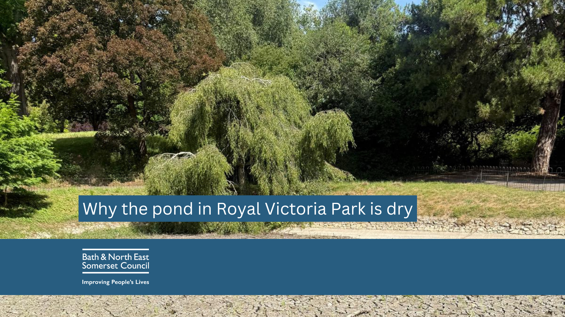 a photo of the dried up pond with grass and trees in the background
