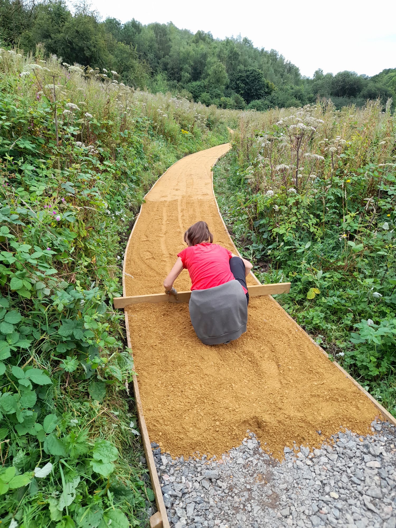 a girl flattening a freshly laid top layer on a new path running through a field of green plants