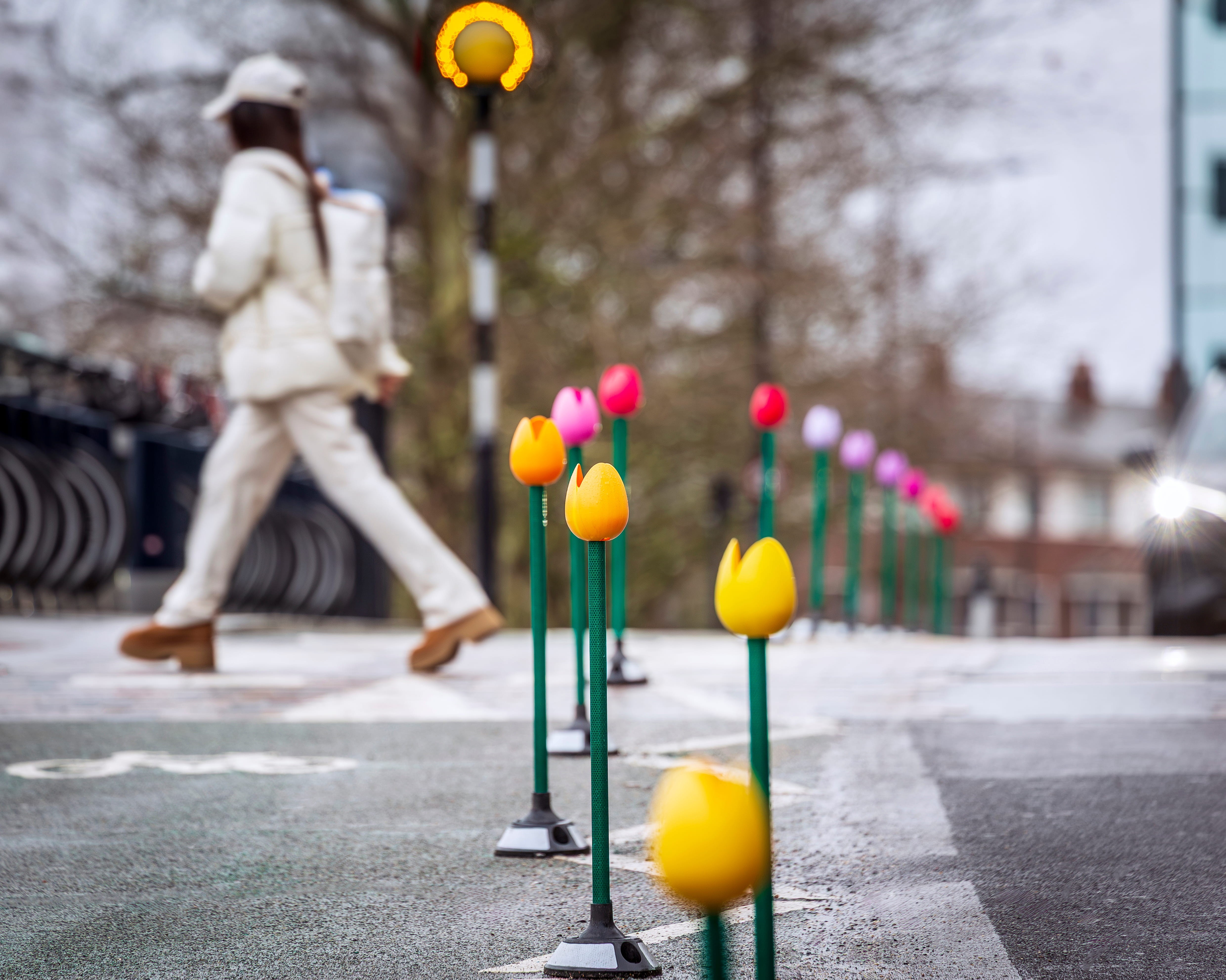 A person walking near a row of artifical tulips in London. Photo courtesy of Kilian O’Sullivan.